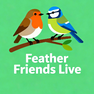 Feather Friends Logo